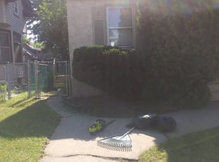 Bush Trimming by David Gallaway for Vicky W. in Saint Paul, MN