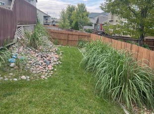 Bush Trimming by Charles Cureton for Lou S. in Thornton, CO