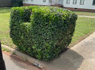 Bush Trimming by Anzeo Smith for Kristen L. in Mauldin, SC