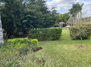 Bush Trimming by Rupert Mclendon for Brian H. in Tampa, FL