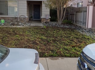 Landscaping by Casey Cleland for Danette S. in Elk Grove, CA