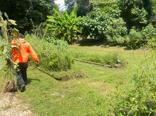 Cleanups by Toni Feaster for Valerie R. in Clarkston, GA