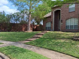 Leaf Removal by Jorge CrisΓ³stomo for Brian B. in Plano, TX