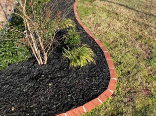 Weeding by luis medellin for Alexis G. in Fate, TX
