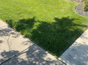 Nancy I.'s Lawn Service service result