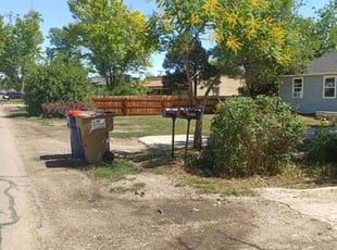 Bush Trimming by Jose Aranda for Laura D. in Lakewood, CO