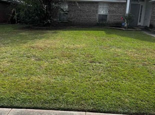 Ether T.'s Grass Cutting service result