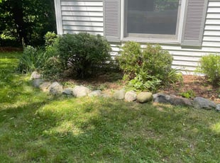 Bush Trimming by Holden Richardson for Denise B. in Grand Rapids, MI