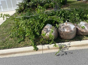 Leaf Removal by Jean Claude Zephirin for Susan H. in St. Augustine, FL