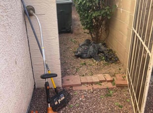 Bush Trimming by Aaron Flores for Sherie K. in Phoenix, AZ