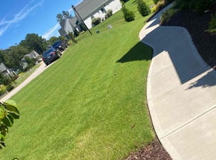 Ahmed E.'s Yard Cutting service result