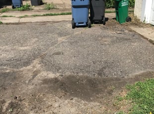 Cleanups by Ian Canfield for Cecilia L. in Minneapolis, MN
