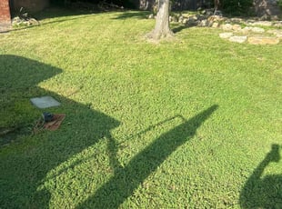 Christell W.'s Lawn Mowing service result