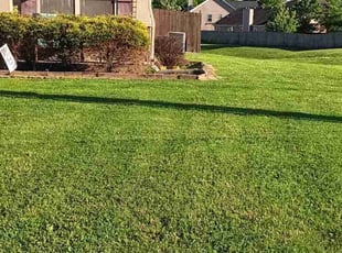 Sanford C.'s Lawn Service service result