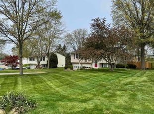 Tracy F.'s Lawn Maintenance service result
