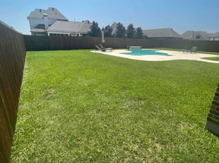 Lorraine P.'s Lawn Mowing service result