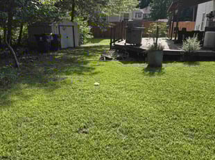 Lashaundra H.'s Grass Cutting service result
