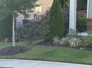 Denise A.'s Lawn Mowing service result