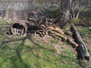 Cleanups by Troy Herman for Phyllis G. in Fort Wayne, IN