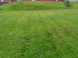 Grace J.'s Lawn Care service result