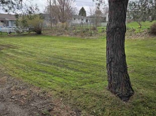Neil b.'s Lawn Service service result
