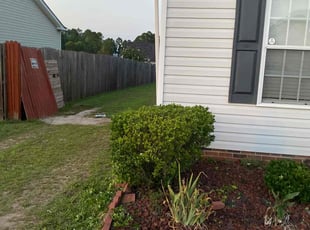 Bush Trimming by Tamara Pierre for John M. in Elgin, SC