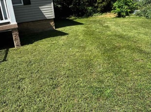 Tom T.'s Lawn Service service result