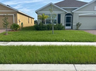 Beverly K.'s Yard Cutting service result