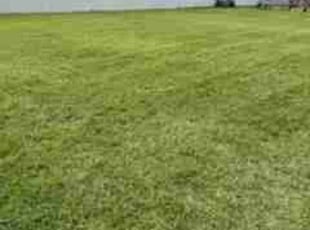 Lee C.'s Lawn Care service result