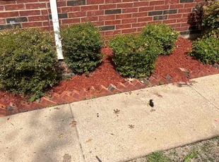 Mulching by Devonn Ford for Al S. in Fort Worth, TX