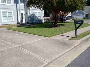 Michael S.'s Lawn Service service result