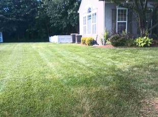 Jordan S.'s Grass Cutting service result