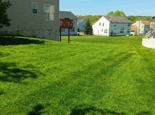 Megan B.'s Lawn Mowing service result