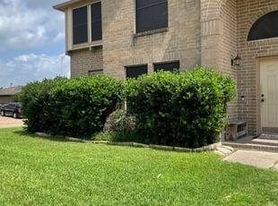 Bush Trimming by Willie Ferguson for Paul N. in Cypress, TX