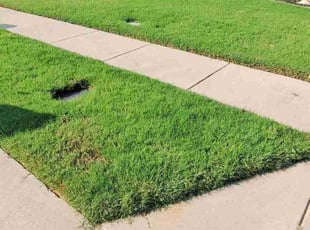 Juliee C.'s Lawn Care service result