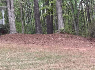 Leaf Removal by Latonya Talley for Brianna B. in Douglasville, GA