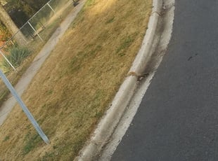 Leaf Removal by Ronnell Leak for Rashell O. in Oxon Hill, MD