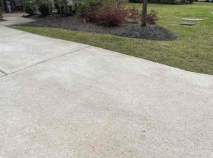 Samara M.'s Yard Cutting service result