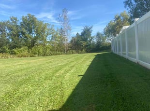 Branko G.'s Yard Cutting service result