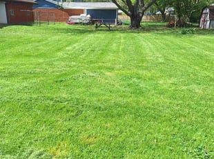 Emily F.'s Lawn Service service result