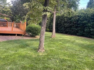 Charles J.'s Lawn Service service result