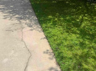 Vanessa L.'s Lawn Mowing service result