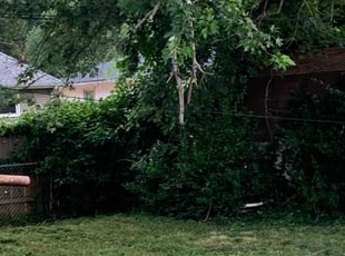 Cleanups by Donnie Jeffries for Patti A. in Springfield, MO