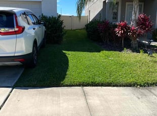 Malcolm M.'s Yard Cutting service result