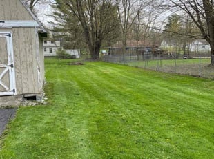 Ken C.'s Lawn Mowing Service service result