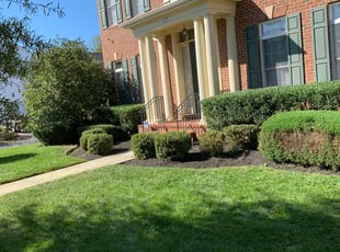 Bush Trimming by Darryl Blanchard for Olugbenga A. in Upper Marlboro, MD