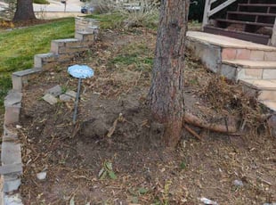 Cleanups by Brayden Summers for Rikki P. in Parker, CO