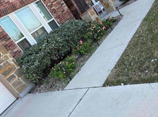 Bush Trimming by Hector Espinosa for Ed L. in Pflugerville, TX