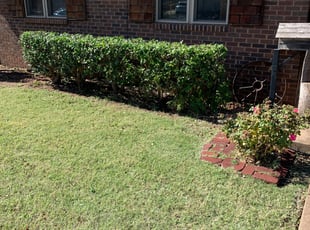 Bush Trimming by Benjamin Everett for Randy A. in Midwest City, OK
