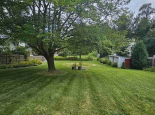 Randy V.'s Lawn Service service result